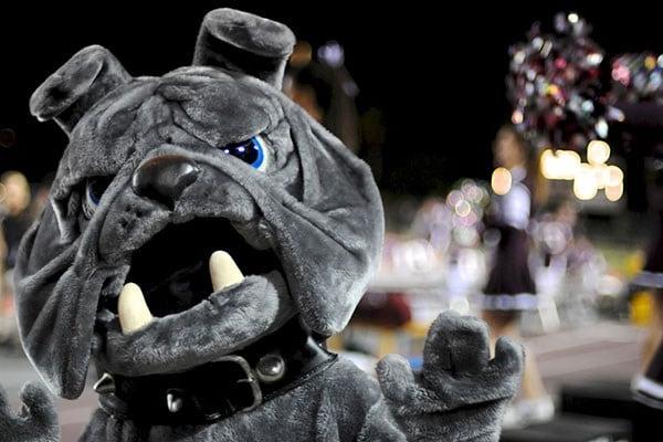 Costume Bulldog Mascot at a football game